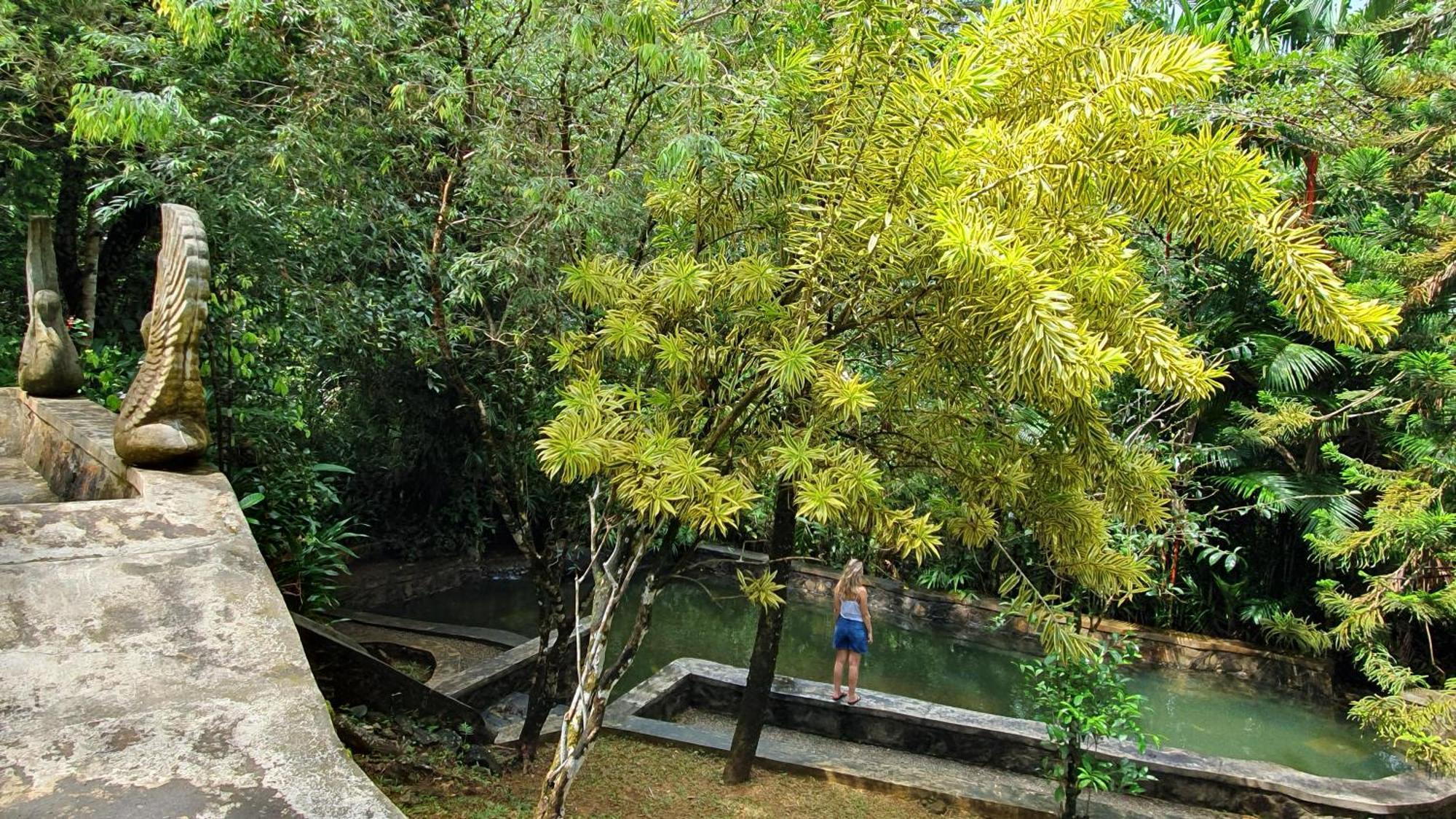 Singharaja Garden Agro Eco Lodge Pelawatta  Eksteriør billede