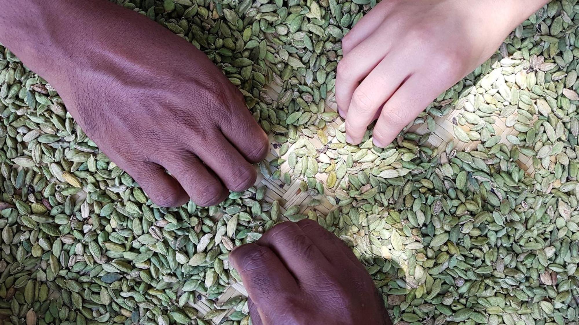 Singharaja Garden Agro Eco Lodge Pelawatta  Eksteriør billede