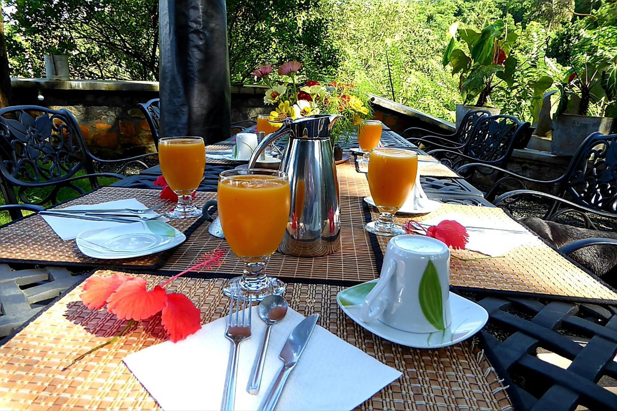 Singharaja Garden Agro Eco Lodge Pelawatta  Eksteriør billede