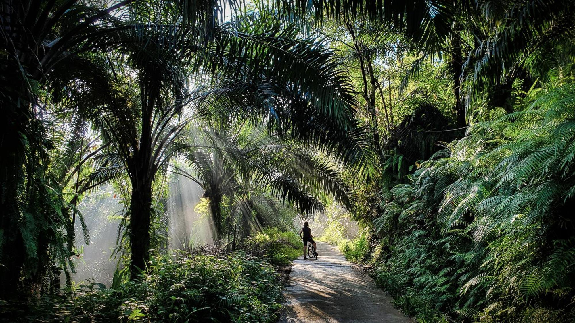 Singharaja Garden Agro Eco Lodge Pelawatta  Eksteriør billede