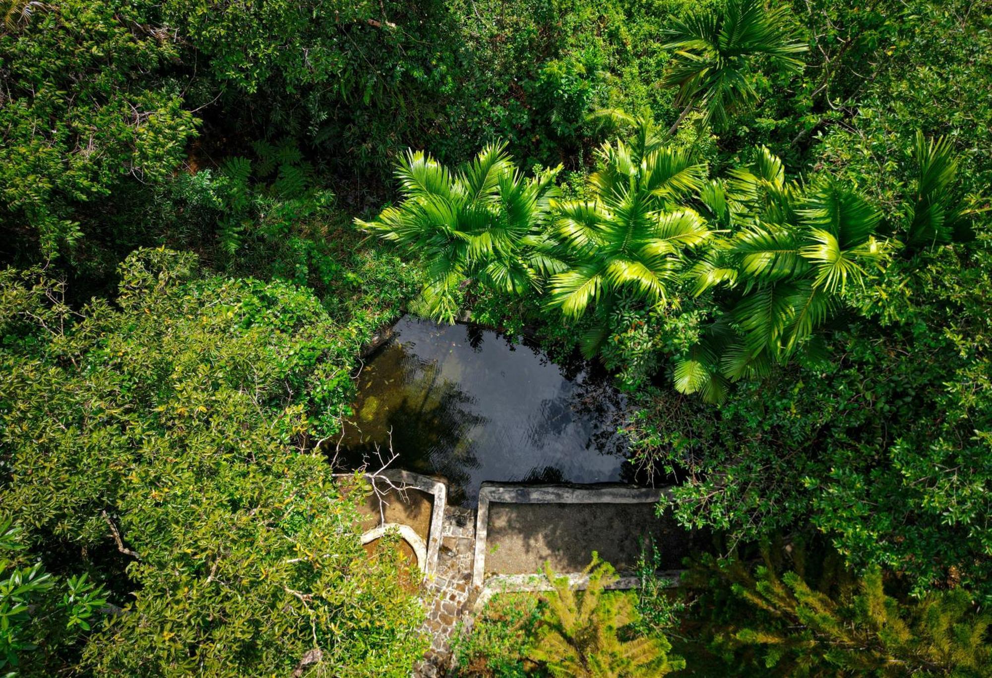 Singharaja Garden Agro Eco Lodge Pelawatta  Eksteriør billede