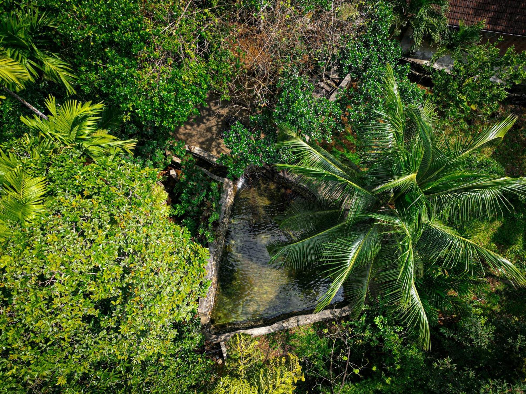 Singharaja Garden Agro Eco Lodge Pelawatta  Eksteriør billede