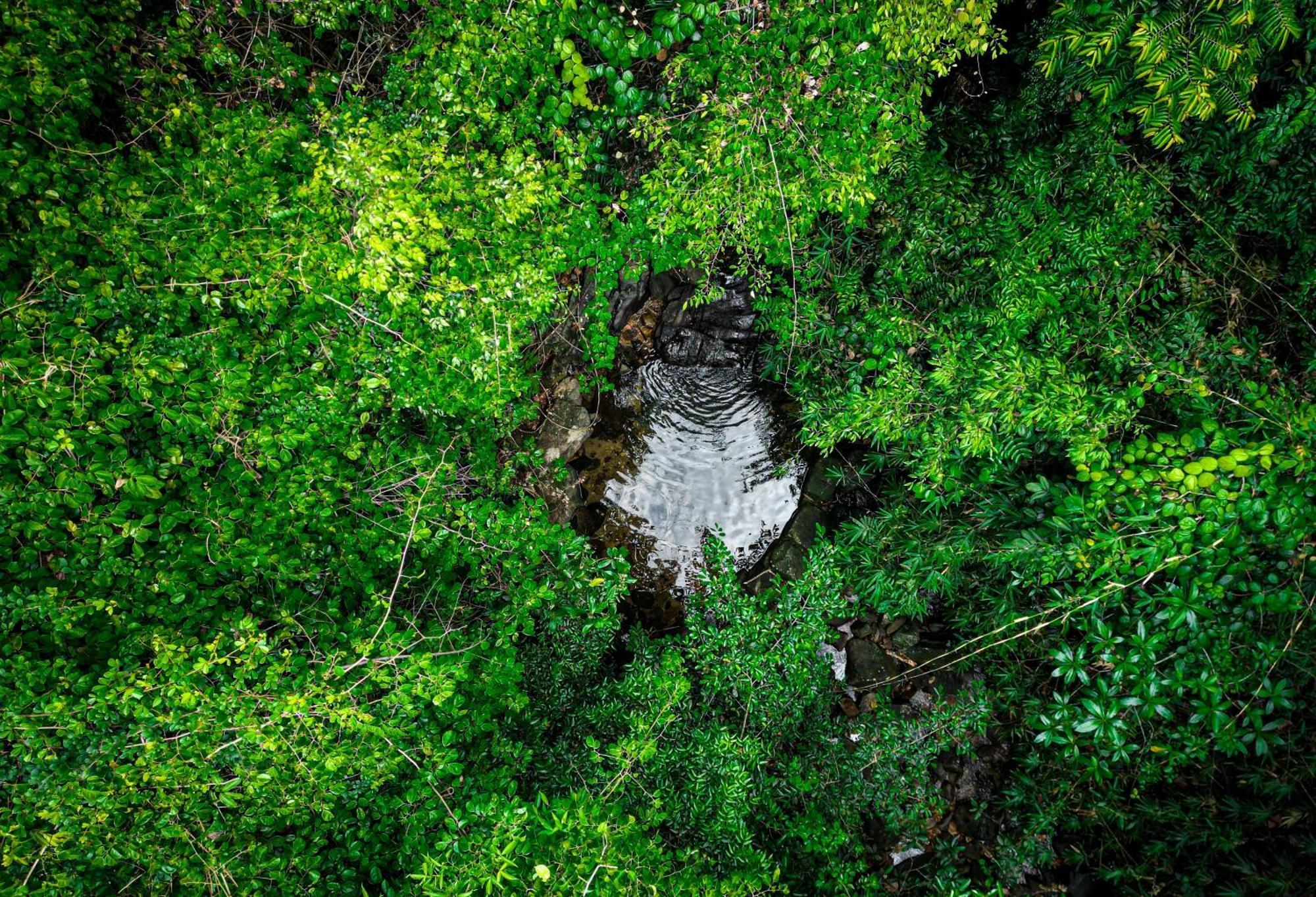 Singharaja Garden Agro Eco Lodge Pelawatta  Eksteriør billede