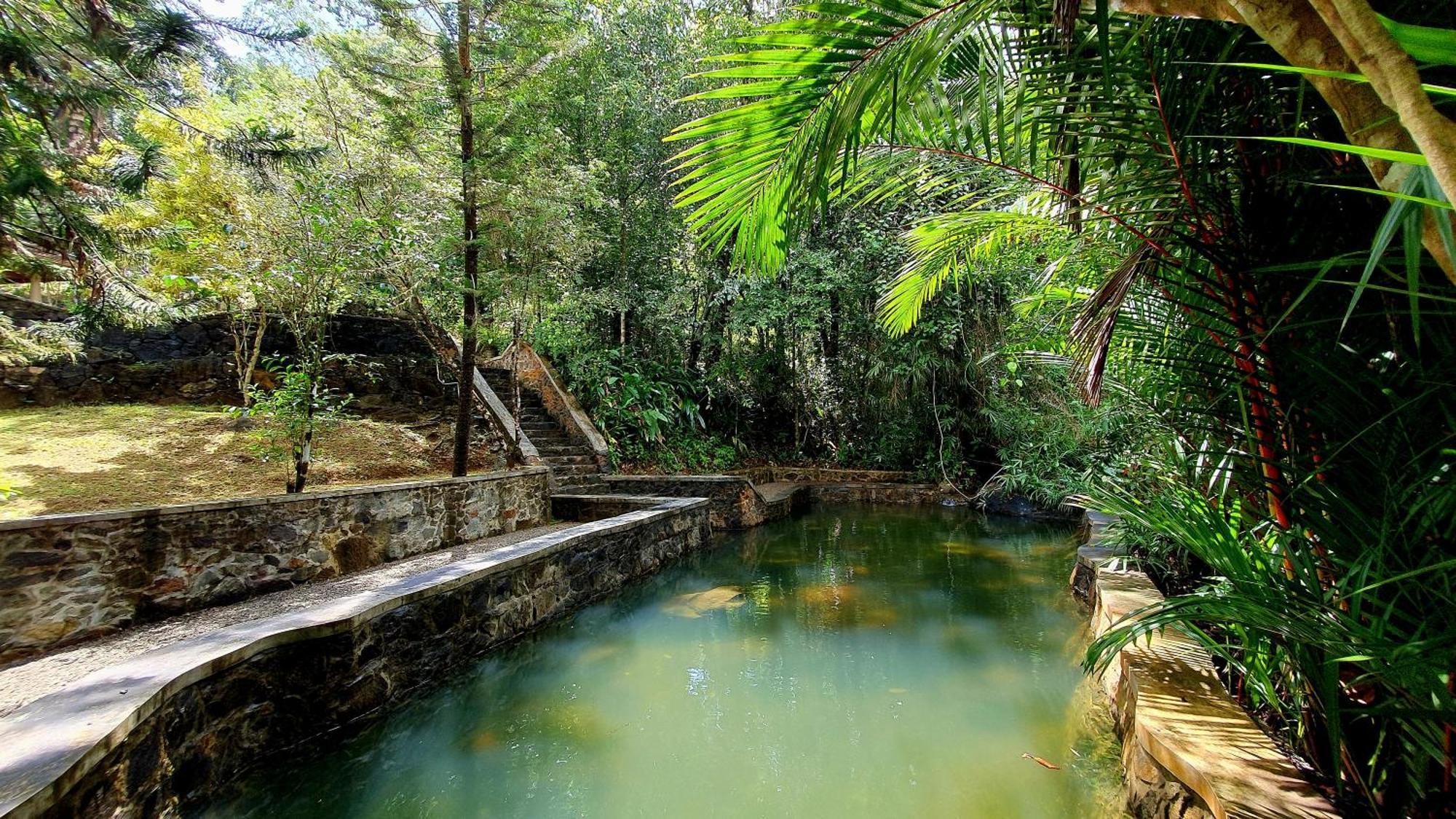Singharaja Garden Agro Eco Lodge Pelawatta  Værelse billede