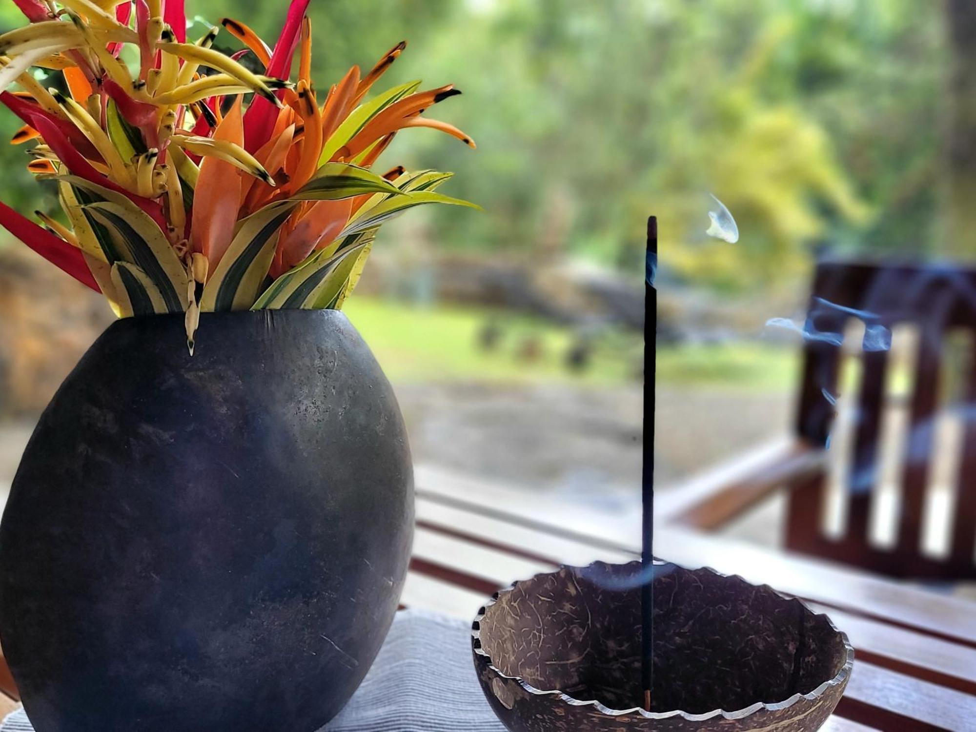 Singharaja Garden Agro Eco Lodge Pelawatta  Værelse billede