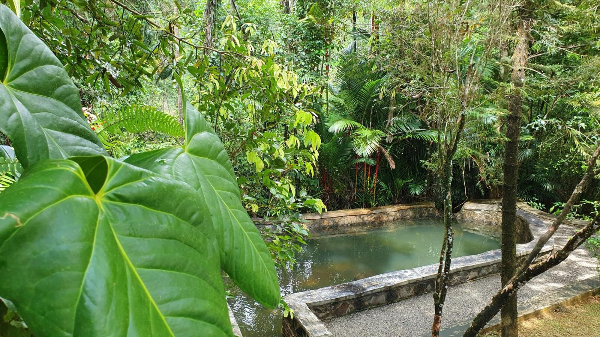 Singharaja Garden Agro Eco Lodge Pelawatta  Værelse billede